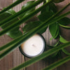 No. 04 Mimosa - Soy Candle